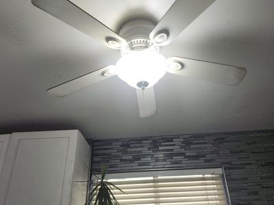 Ceiling fan/lamp