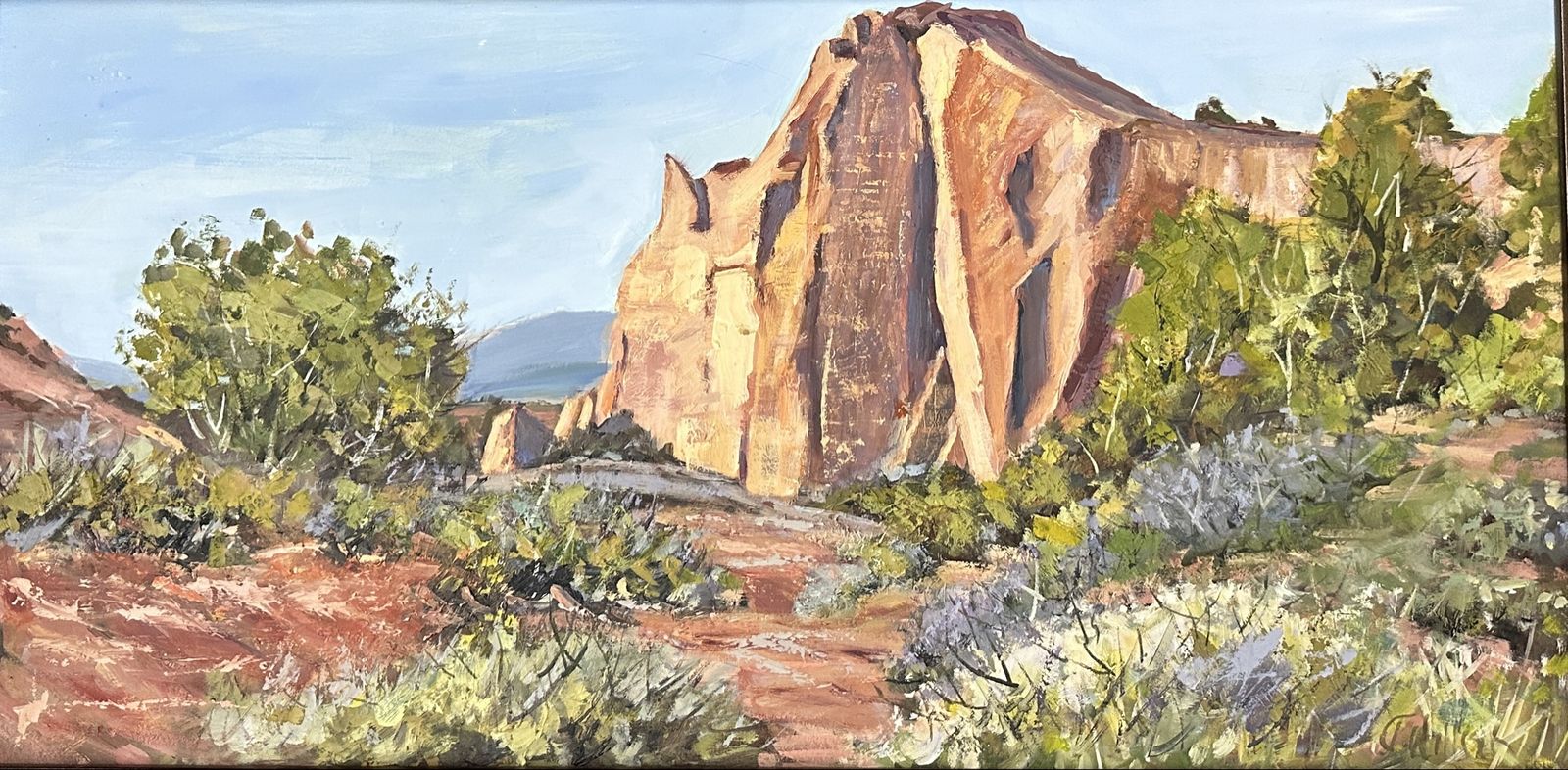 DESERTS COLOR