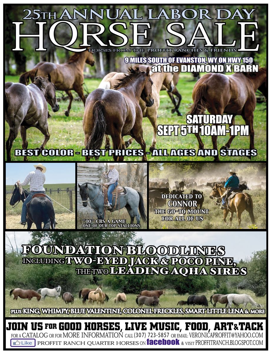 25th Annual Horse Sale with top AQHA bloodlines!