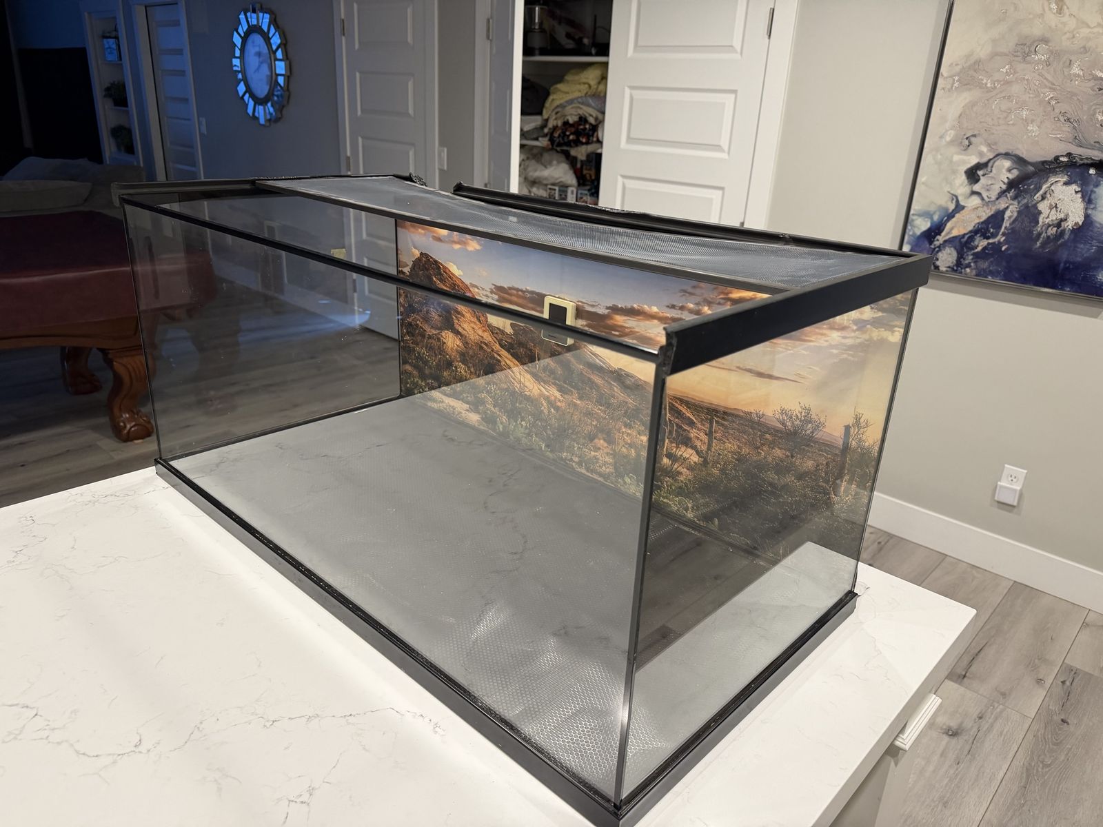 Glass Terrarium Reptile Enclosure with Desert Background and Mesh Top