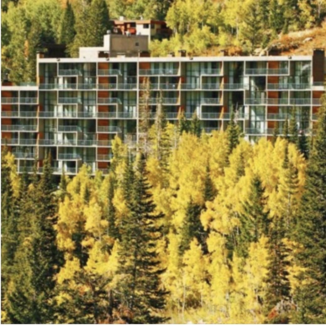Main image 2