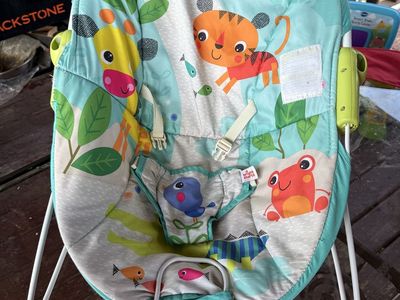 Bright Starts Safari Fun Vibrating Bouncer Seat - Infant Baby Bouncer with Toys