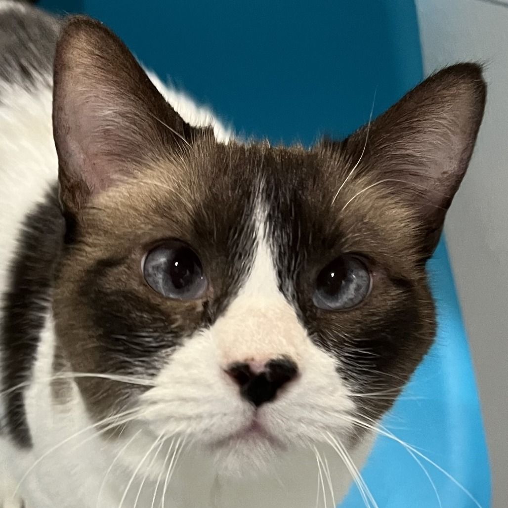 Hello my name is Zora