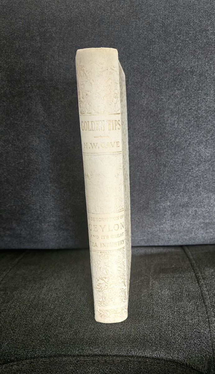 Main image 6