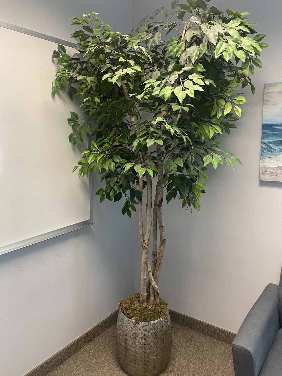Decorative Tree for sale