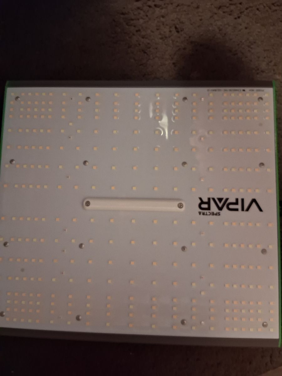 IPARSPECTRA P1000 Light