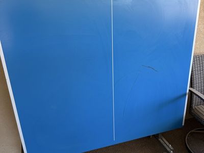 Ping pong table