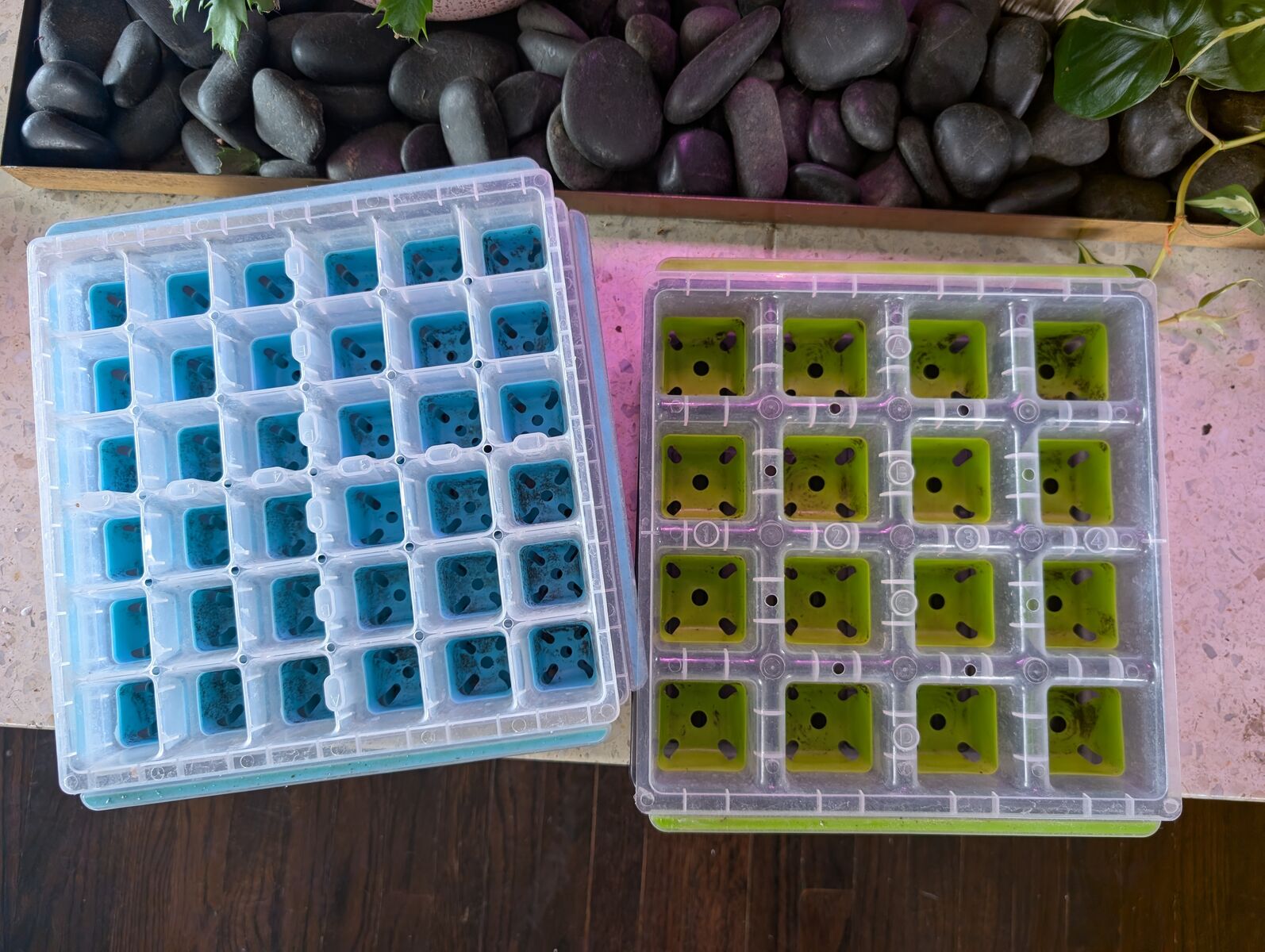 3 Burpee Seed Starting Trays