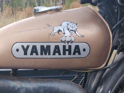 Enduro Yamaha Enduro 1974 250cc $900 OBO
