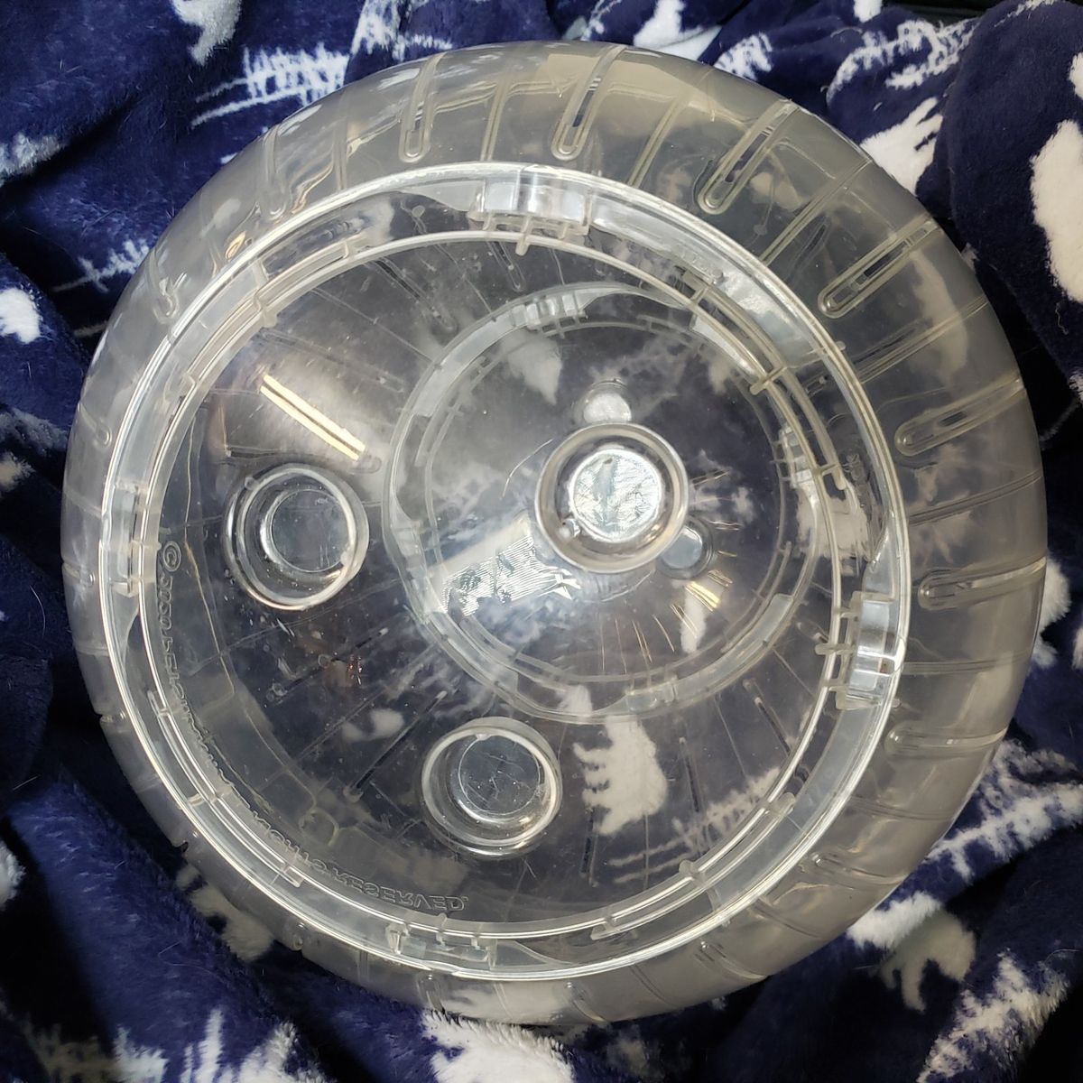 Chinchilla/Ferret Exercise Ball