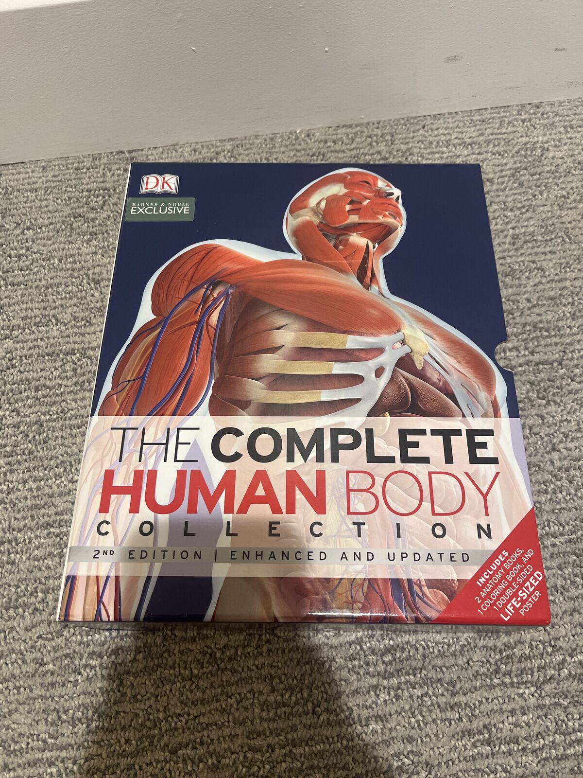 The Complete Human Body 1-2