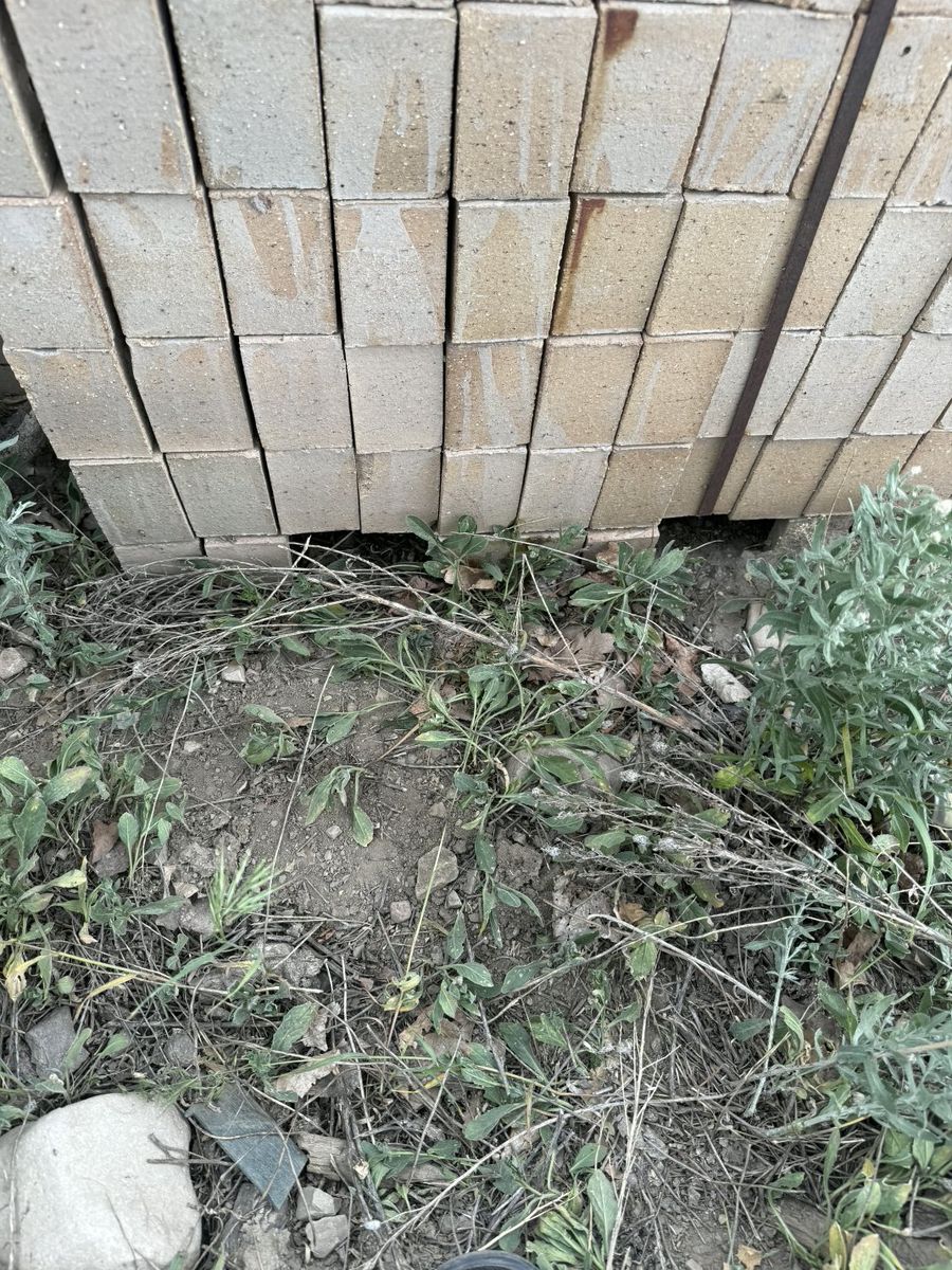 brick
