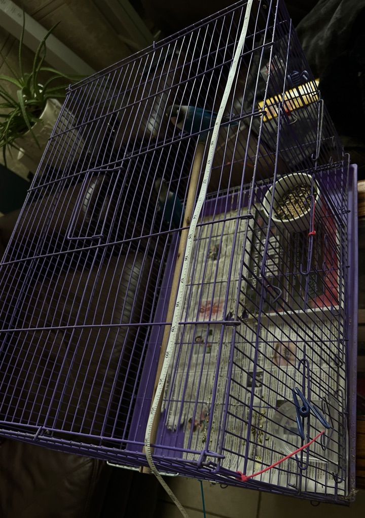 Main image 5