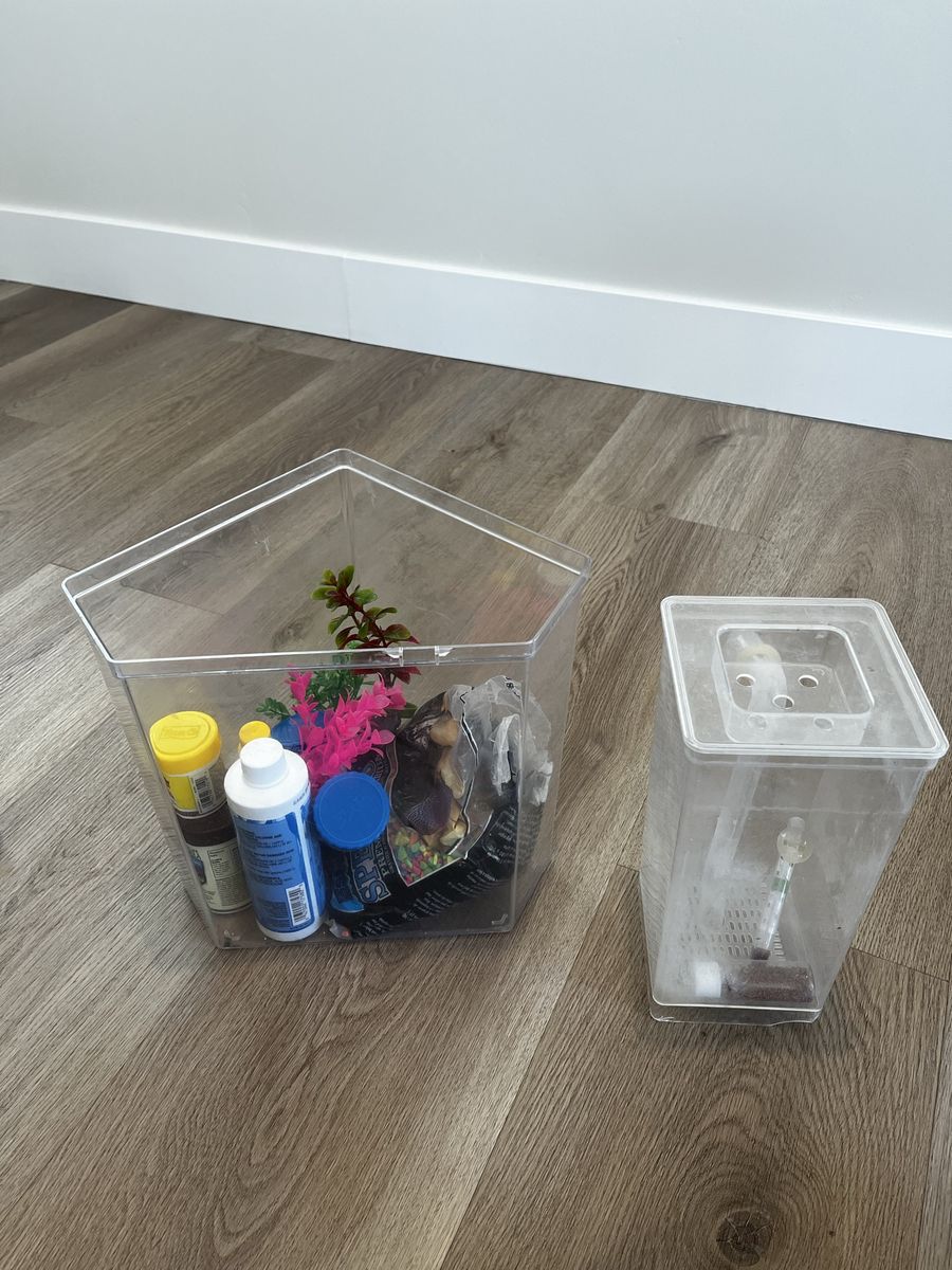 Betta Fish Tanks and Accessories
