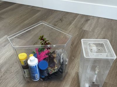 Betta Fish Tanks and Accessories