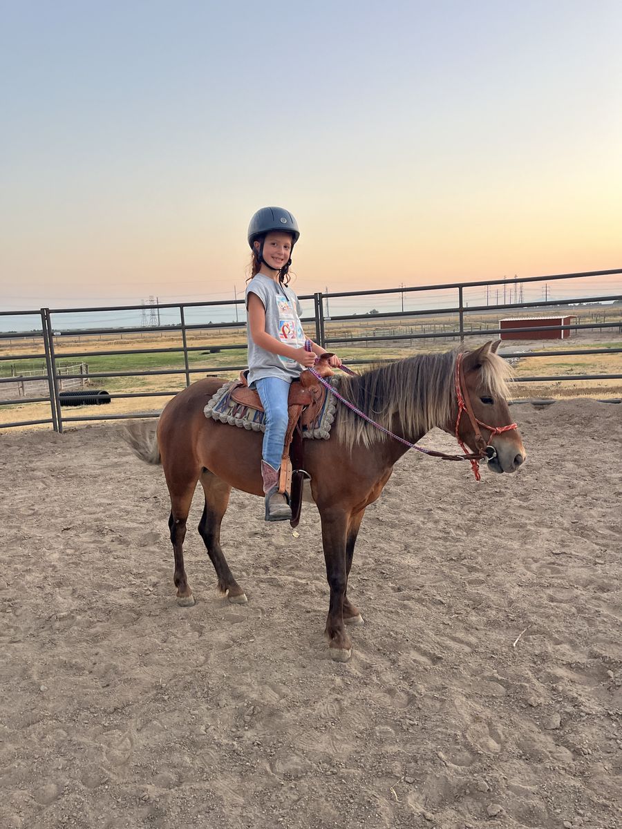 Adorable Kids Pony Horse