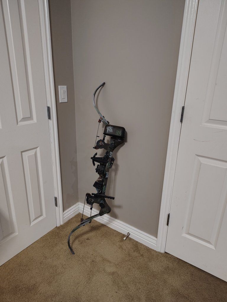 80lbs compound hunting bow