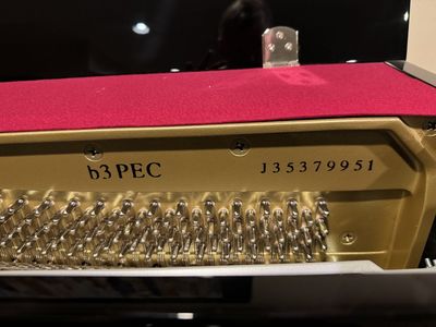 Yamaha Polished ebony Piano