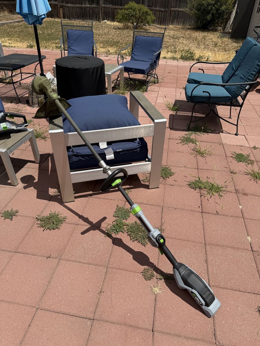 Main image 6