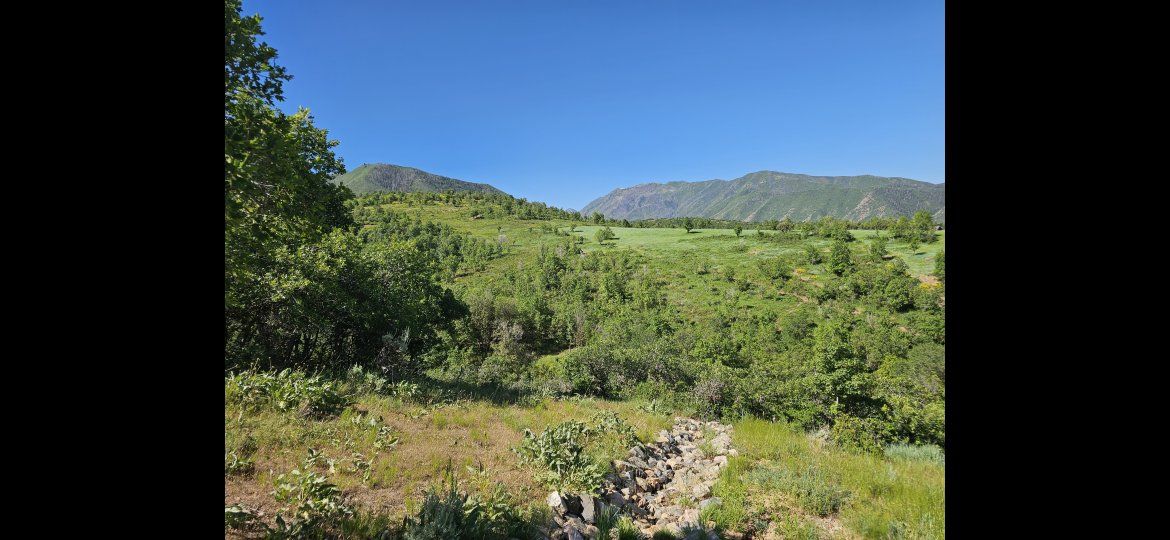 Main image 17