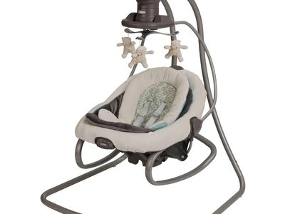 Graco DuetSoothe Swing and Rocker