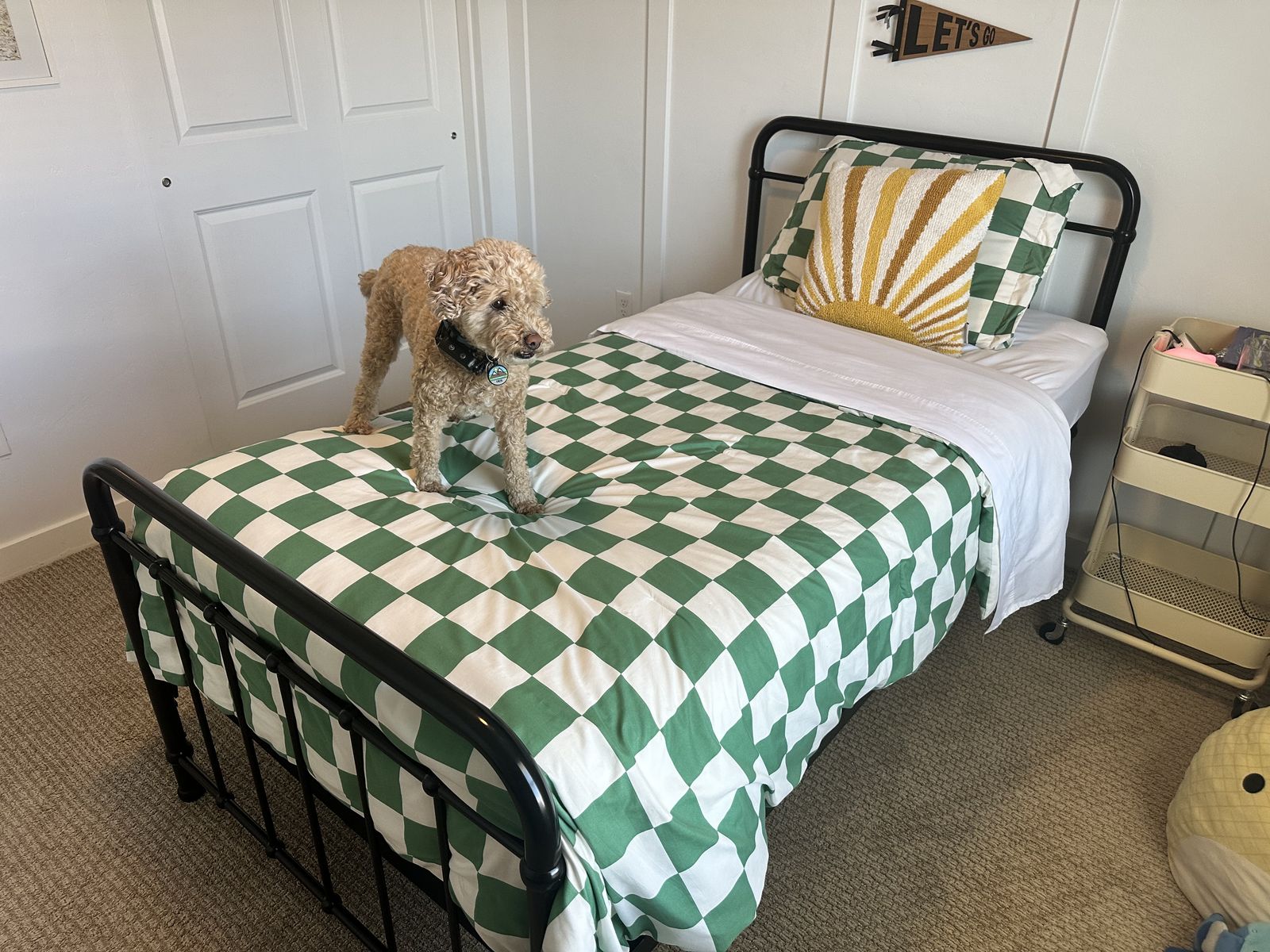 Twin Bed (Mattress, Box Spring, Frame, Headboard/Footboard)