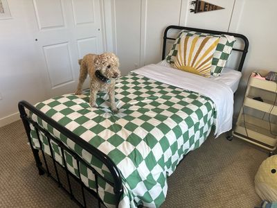 Twin Bed (Mattress, Box Spring, Frame, Headboard/Footboard)