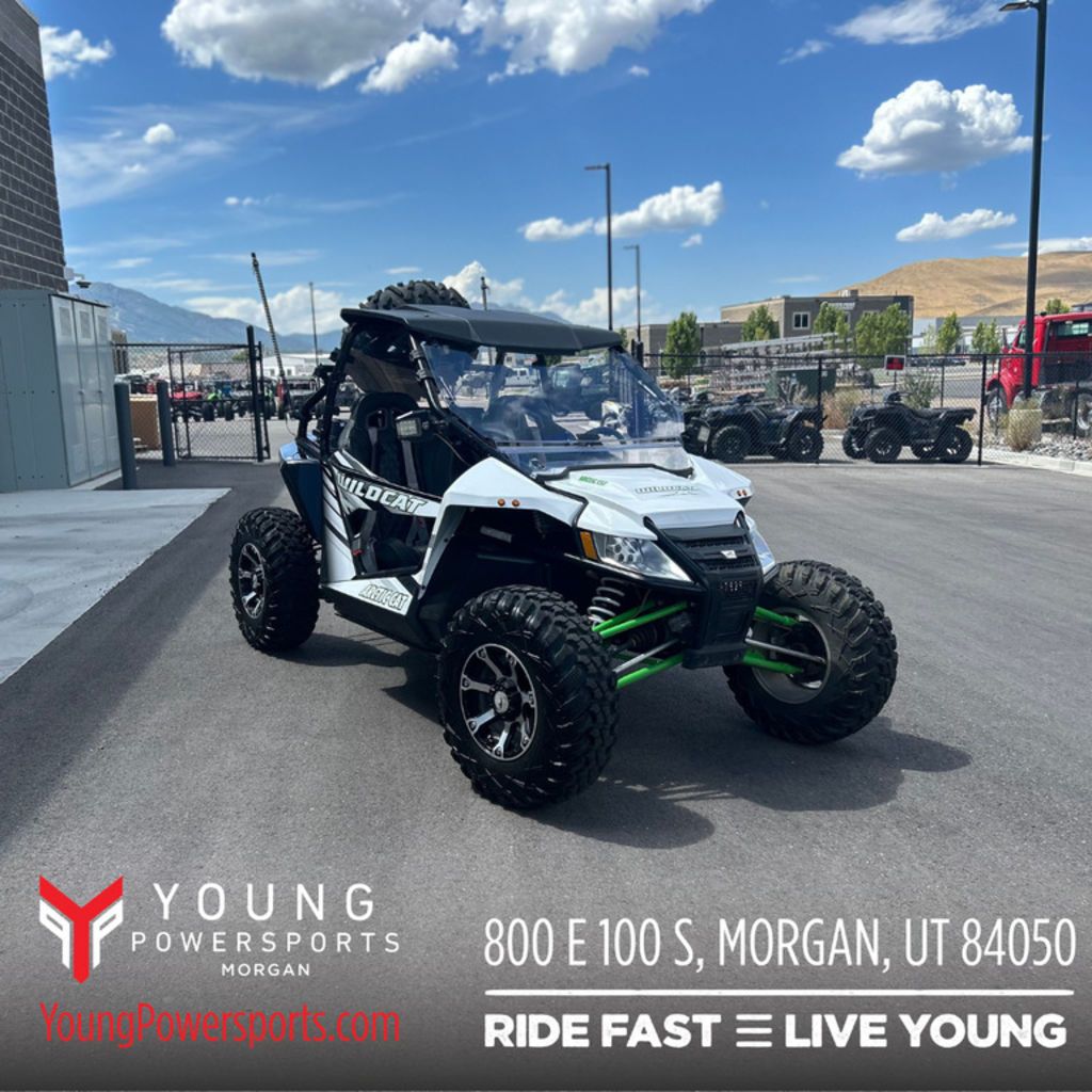 2016 Arctic Cat® WILDCAT