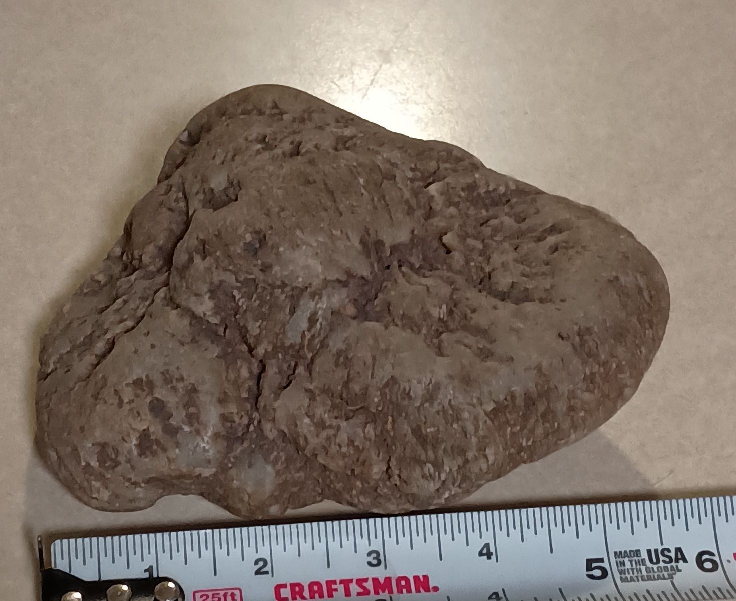 dinosaur coprolite