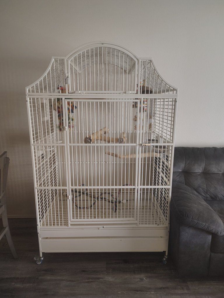 Large White Bird Cage with Play Top and Casters - Spacious Aviary for Parrots/Cockatiels