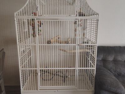 Large White Bird Cage with Play Top and Casters - Spacious Aviary for Parrots/Cockatiels
