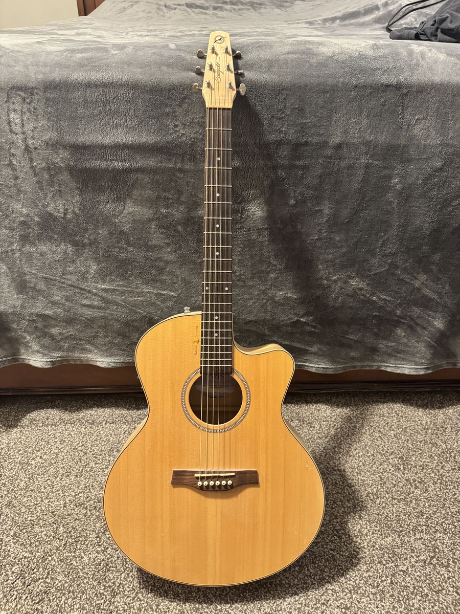 Seagull Guitar.  Natural Elements, Spruce, Heart of Wild Cherry