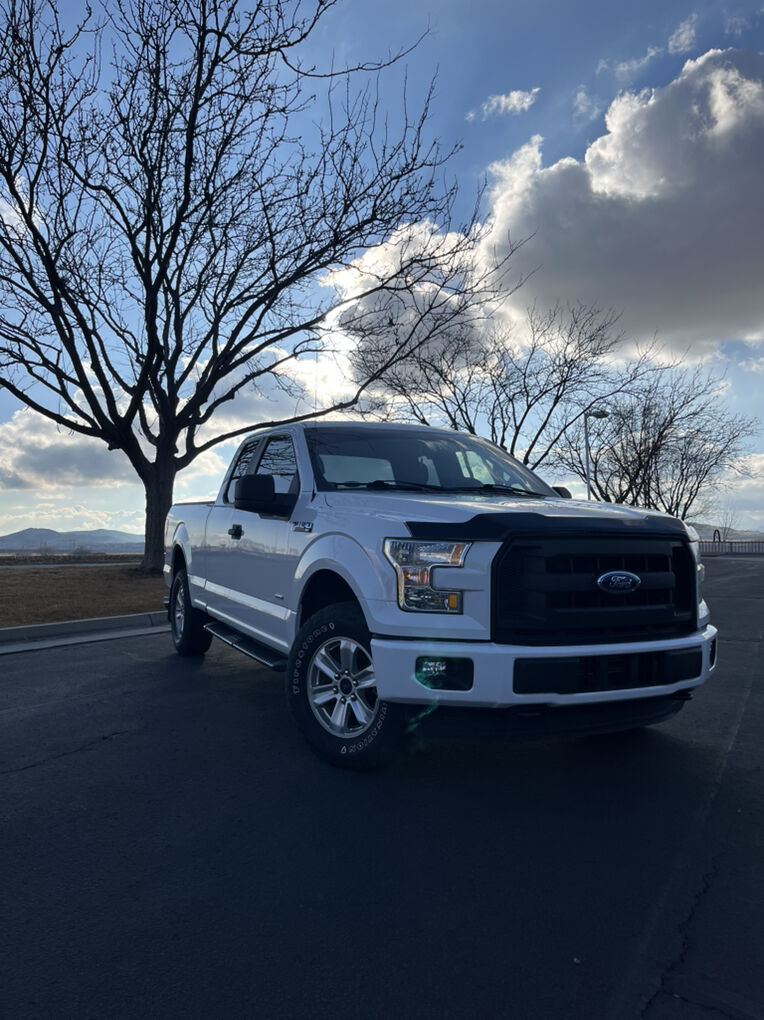 2015 FORD F150 XL