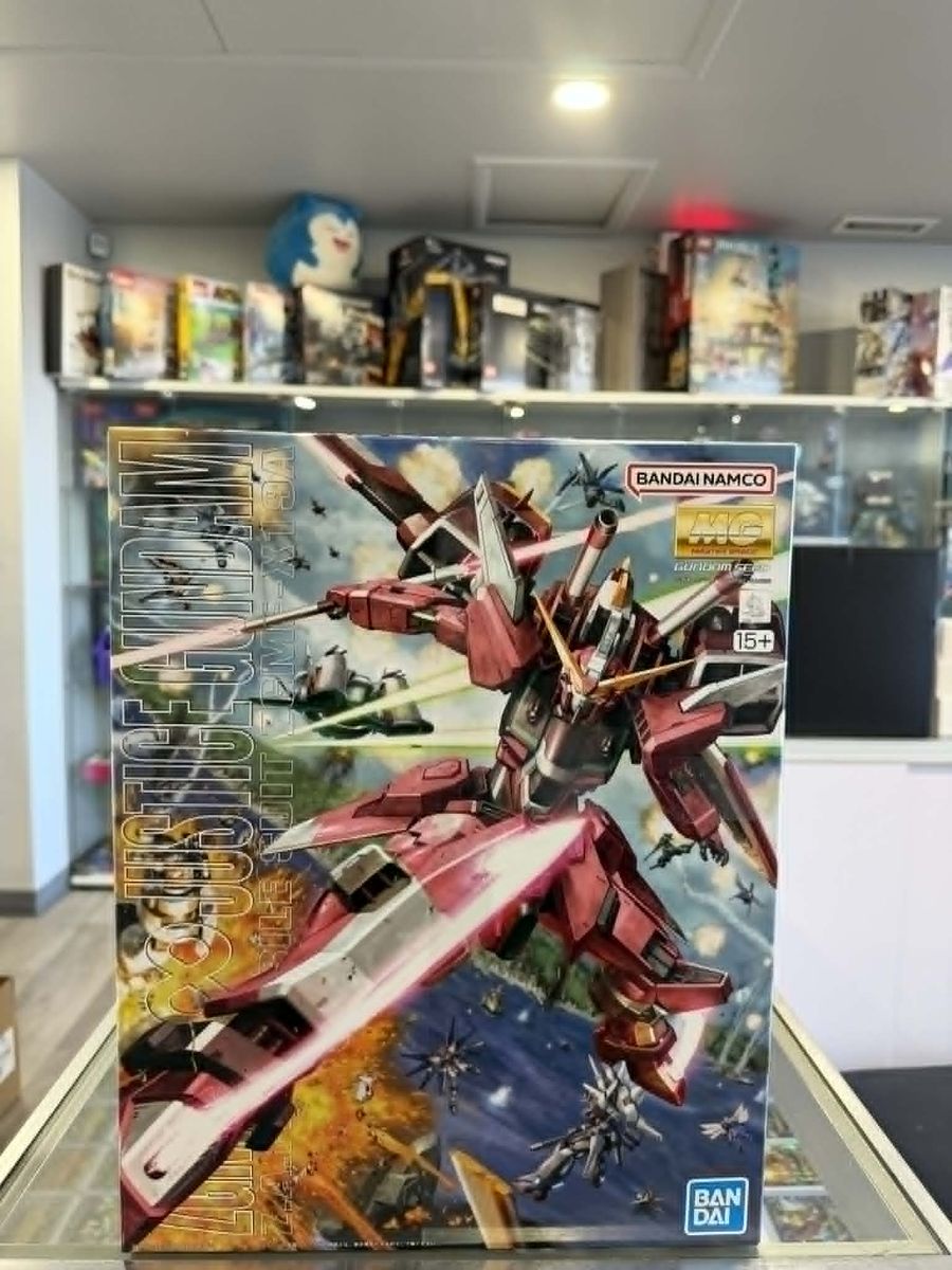Brand new MG 1/100- Infinite Justice Gundam