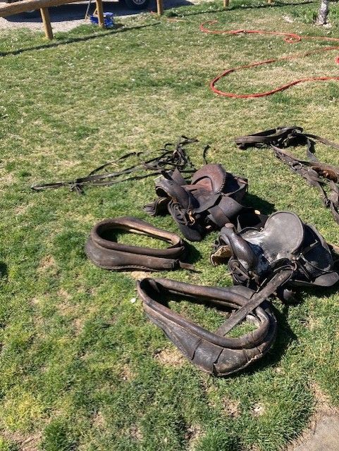 Old Horse Tack