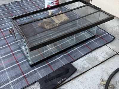 10 Gallon Reptile Tank