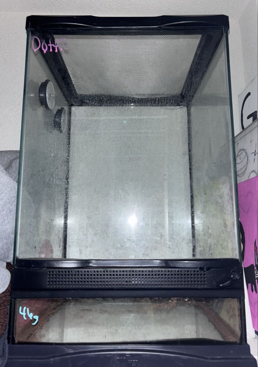 Reptile tank