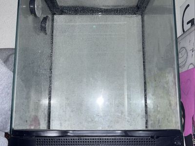 Reptile tank