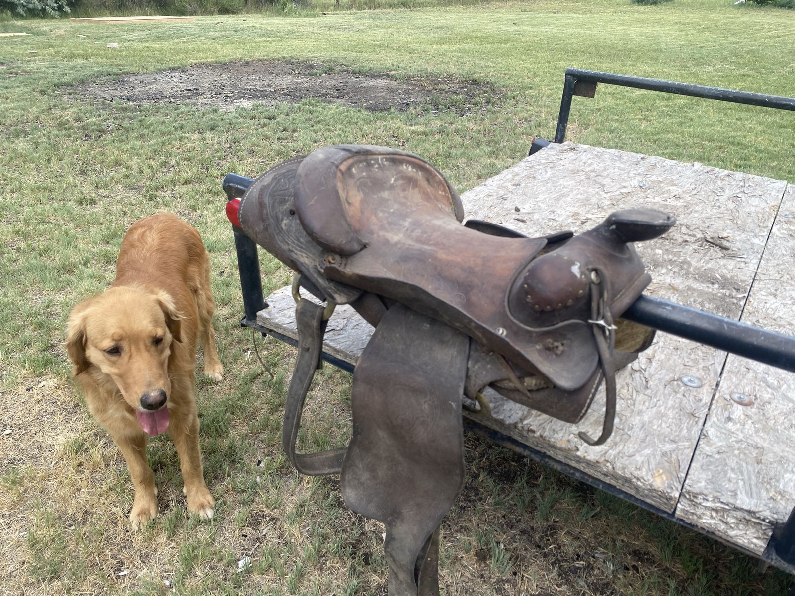 Vintage Western Leather Saddle - Well-Used, Patina, Ready for Restoration or Decor
