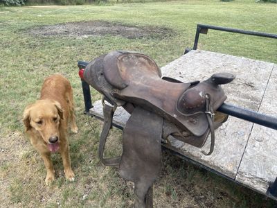 Vintage Western Leather Saddle - Well-Used, Patina, Ready for Restoration or Decor