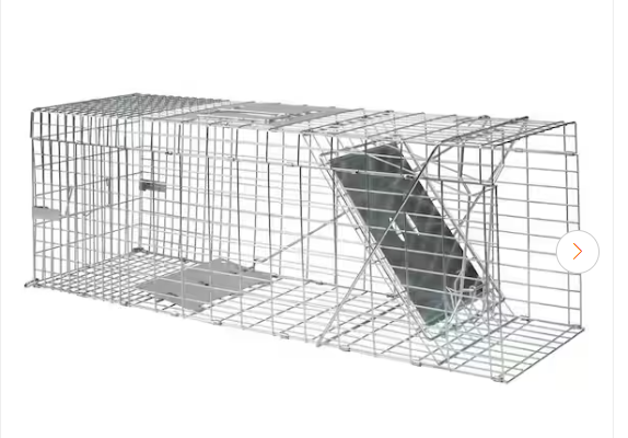  Haveaheart trap, large