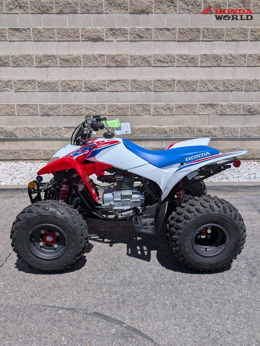 2026 Honda TRX250X