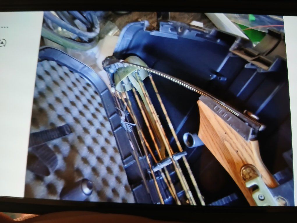 Bow and arrow set with case