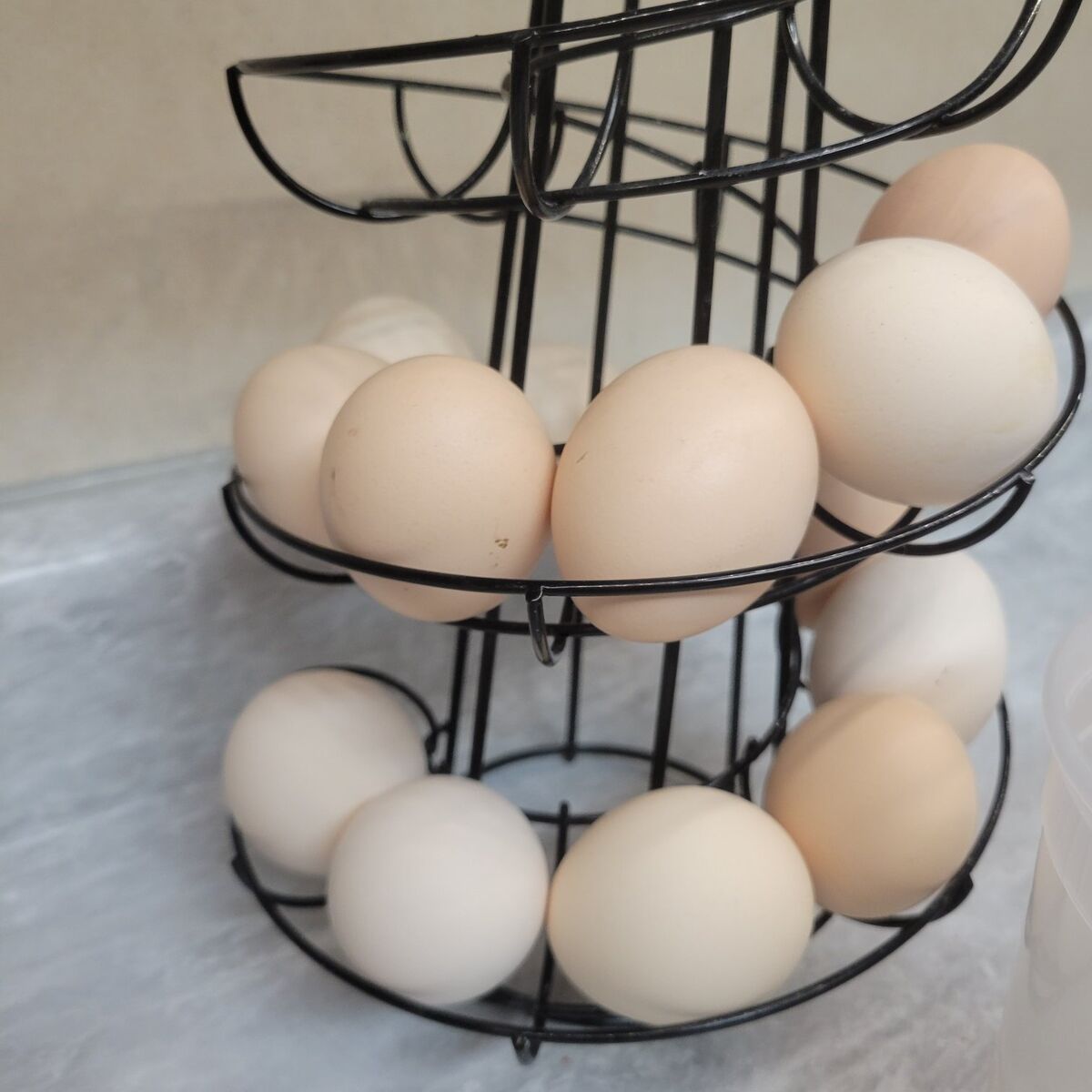 Chicken eggs for trade