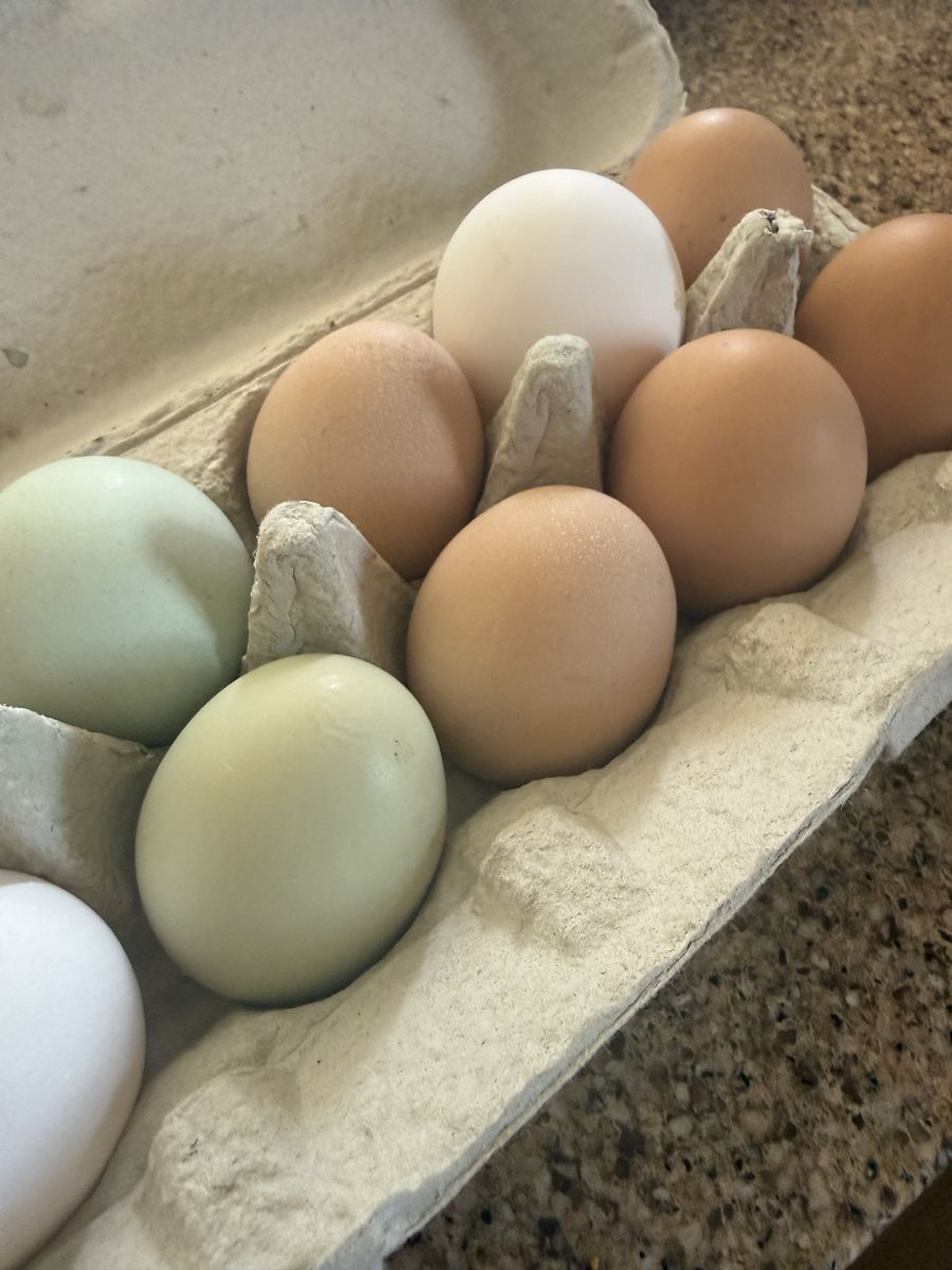 Eggs