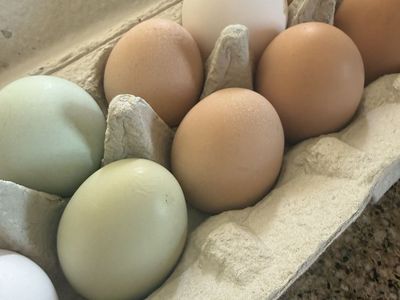 Eggs