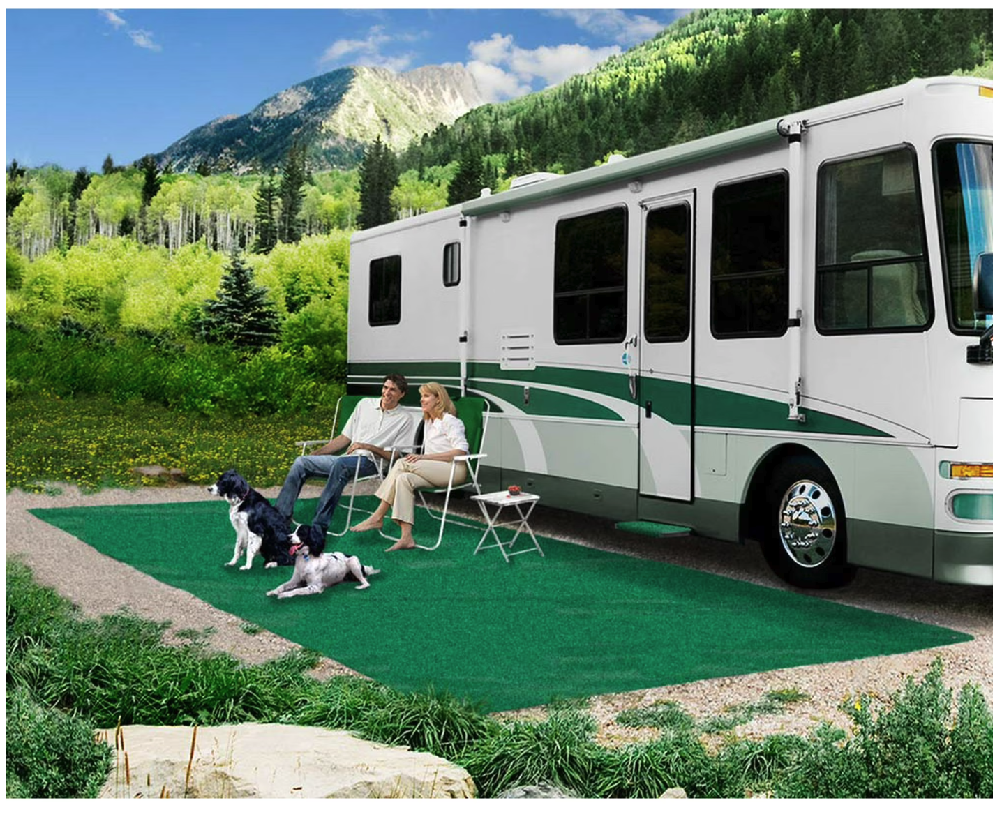 Camping RV Artificial Grass 10 foot by 30 foot. NEW in box. We paid 310 for this!
