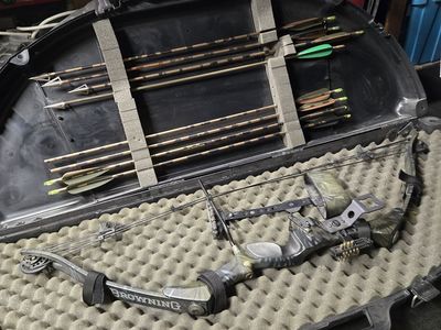 Older browning compound bow