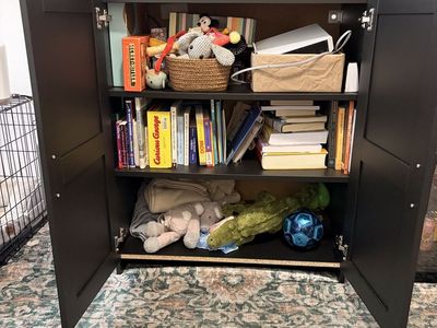 Bookshelves/Cabinet/TV Stand