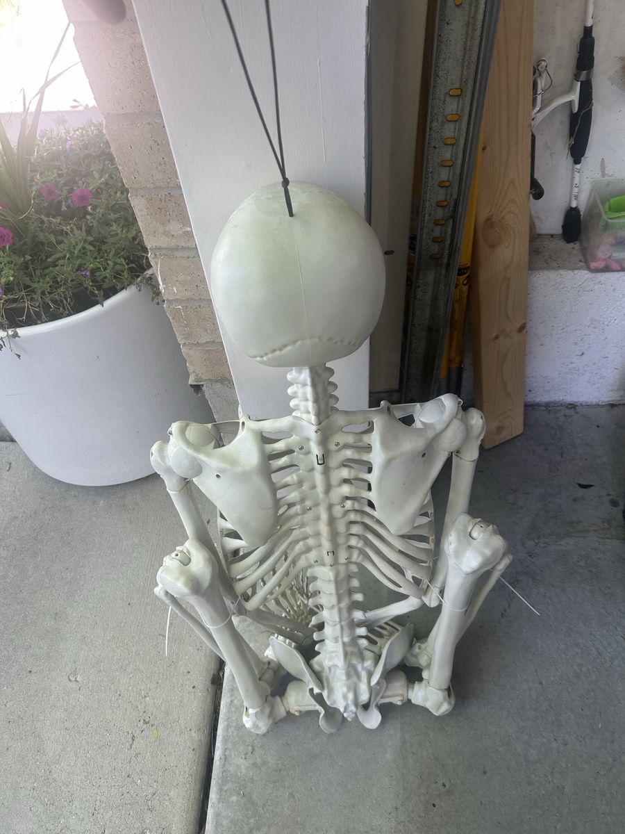 Main image 2